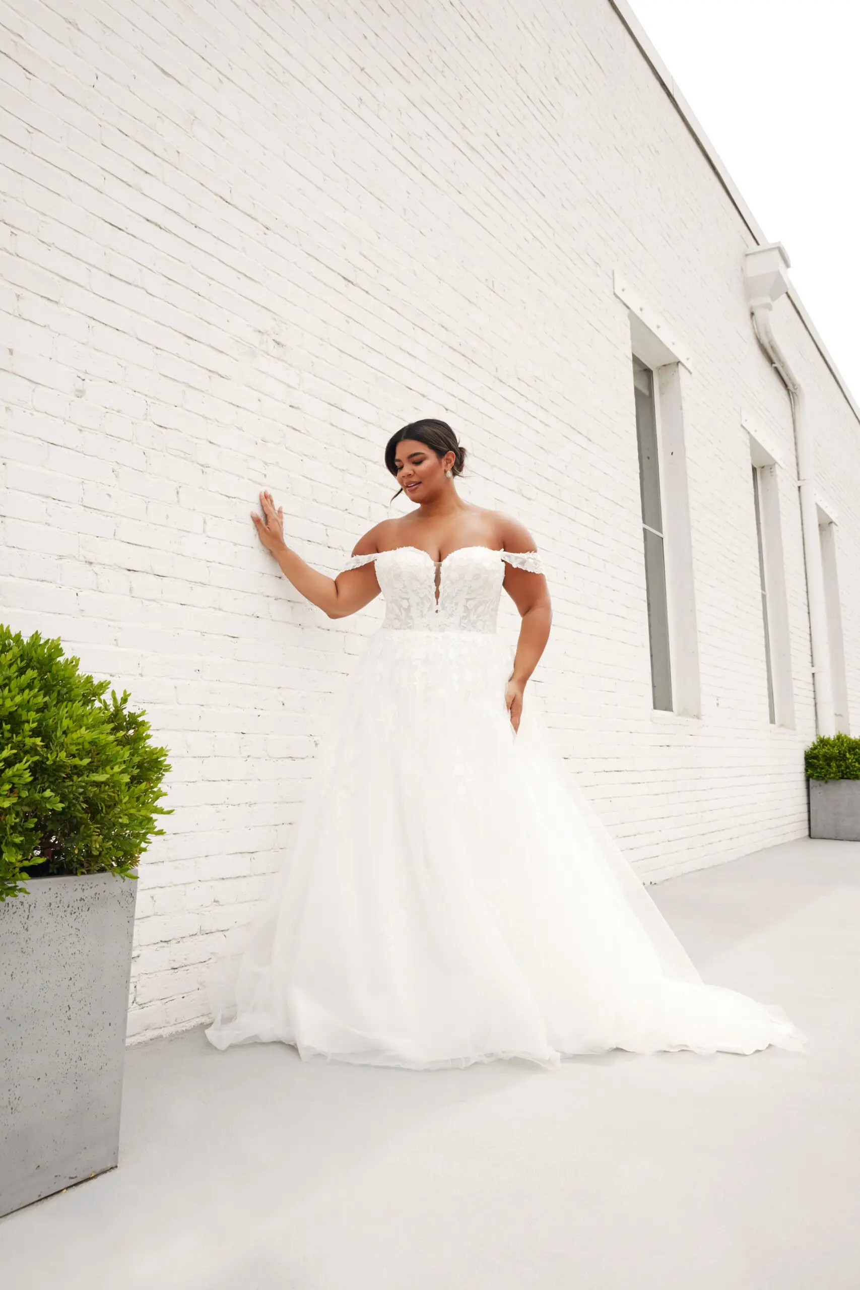 Curve Collection New Arrivals Image
