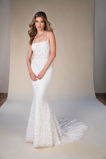 All Who Wander Style No. ADDY-ZZ #0 default (IV-IVR) Ivory Lace and Tulle over Ivory Gown thumbnail