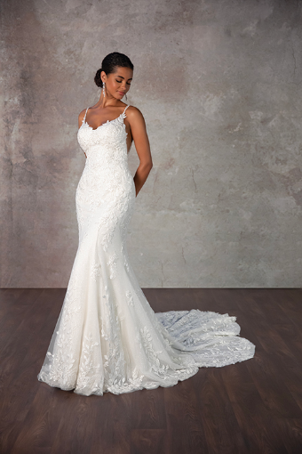 Essense of Australia Style No. D4223IV #3 default (IVIV-PL) Ivory Lace & Tulle over Ivory Gown w Porcelain Tulle Illusion thumbnail