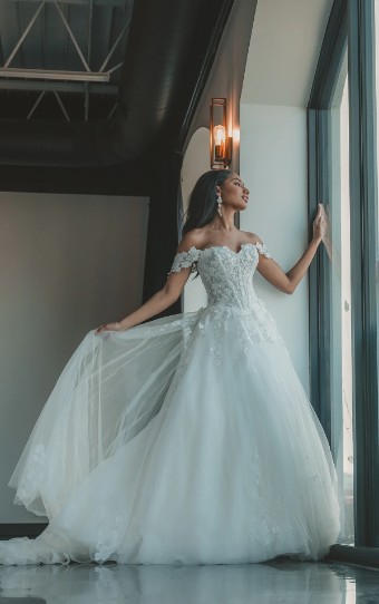Essense of Australia Style No. D4106CQ #0 default (IV-BC) Ivory Lace Tulle & Biscotti Regal Organza over Biscotti Gown thumbnail