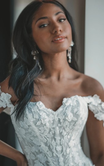 Essense of Australia Style No. D4106CQ #3 (IV-BC) Ivory Lace Tulle & Biscotti Regal Organza over Biscotti Gown thumbnail
