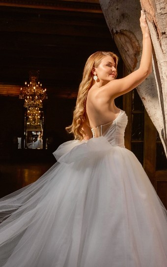 Essense of Australia Style No. D4322ZZ #1 (IV-IV) IVORY GOWN W IVORY TULLE ILLUSION AND PLUNGE thumbnail