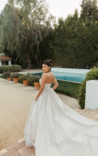 Stella York Style No. SY8133IS #9 (IS-BC) IVORY SILVER TULLE OVER BISCOTTI GOWN thumbnail