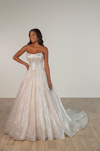 Stella York Style No. SY8133IS #4 (IS-BC) IVORY SILVER TULLE OVER BISCOTTI GOWN thumbnail