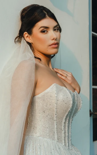 Stella York Style No. SY8133IS #8 (IS-BC) IVORY SILVER TULLE OVER BISCOTTI GOWN thumbnail