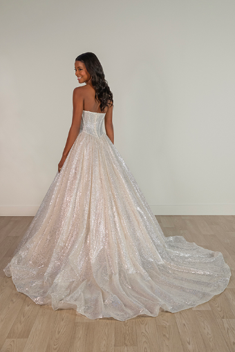 Stella York Style No. SY8133IS #5 (IS-BC) IVORY SILVER TULLE OVER BISCOTTI GOWN thumbnail