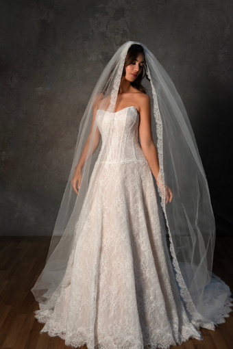 Essense of Australia Style No. D4462ZZ #2 (IV-IV) IVORY LACE TULLE AND ROYAL ORGANZA OVER IVORY GOWN thumbnail