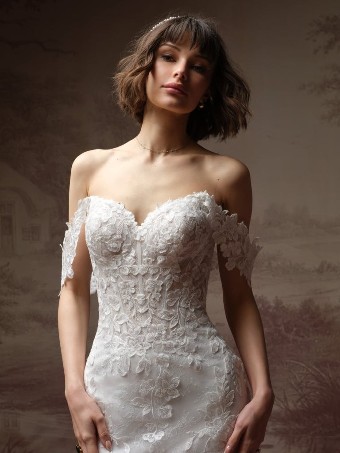 Rebecca Ingram Style No. BRANDY (F6RS117A01 - Unlined bodice) #5 All Ivory (gown with Ivory Illusion) thumbnail