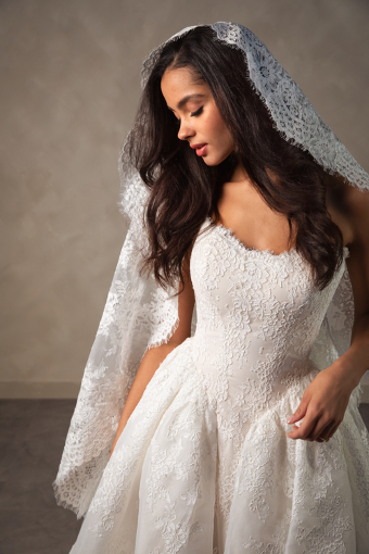 Essense of Australia Style No. D4573 #2 (IV-LN) IVORY LACE AND TULLE OVER LINEN GOWN thumbnail