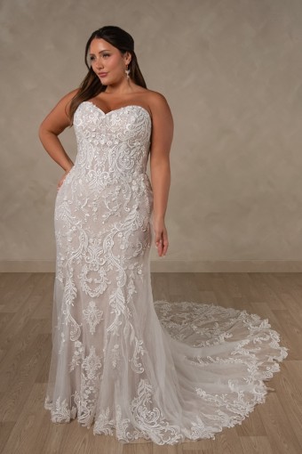 Essense of Australia Style No. D4625IQ #3 default (IV-IVR) Ivory Lace and Tulle over Ivory Gown thumbnail